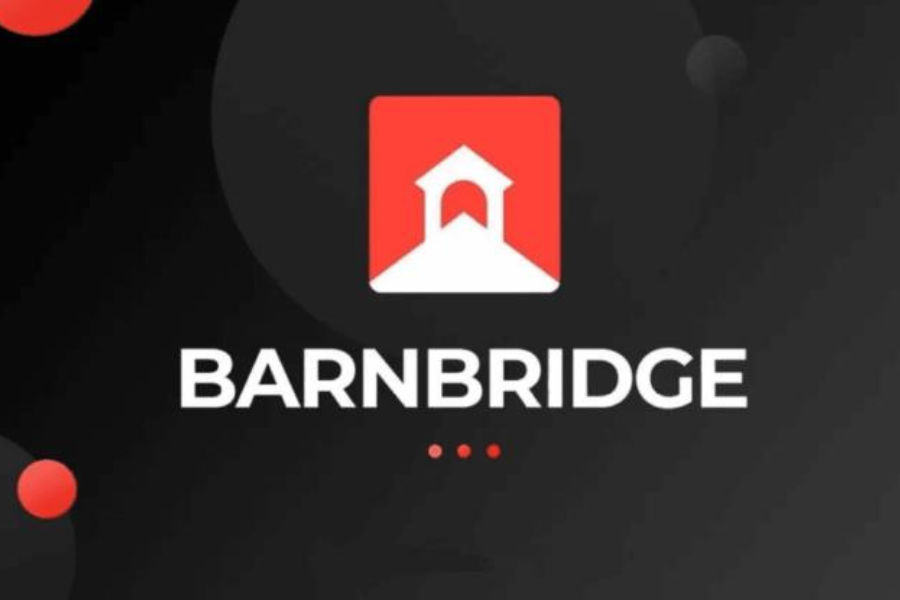 BarnBridge DAO Pauses Operations as SEC Launches Investigation
